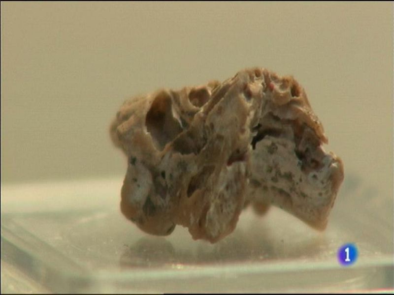 Panorama Regional 2 - 17/02/15 | Ver