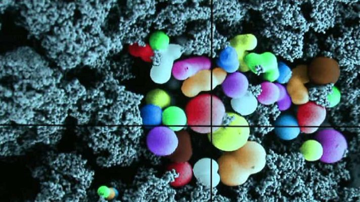 La aventura del Saber - La aventura del saber - 18/02/15