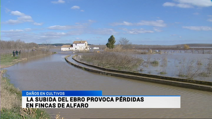 Informativo Telerioja - Telerioja en 2' - 18/02/15