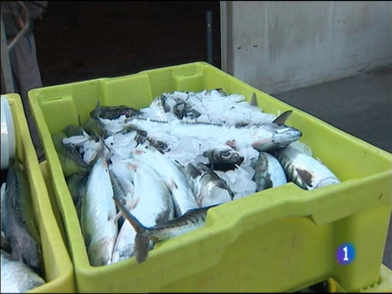 Panorama Regional 2 - 18/02/15 | Ver