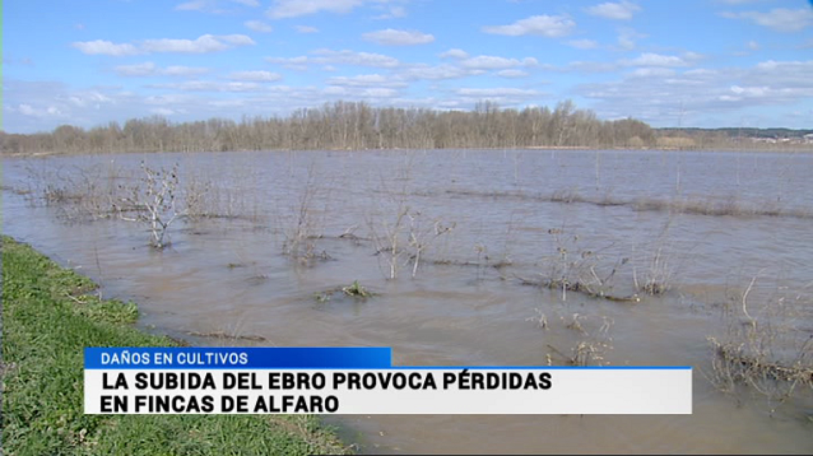 Informativo Telerioja 2 - 18/02/15 | Ver