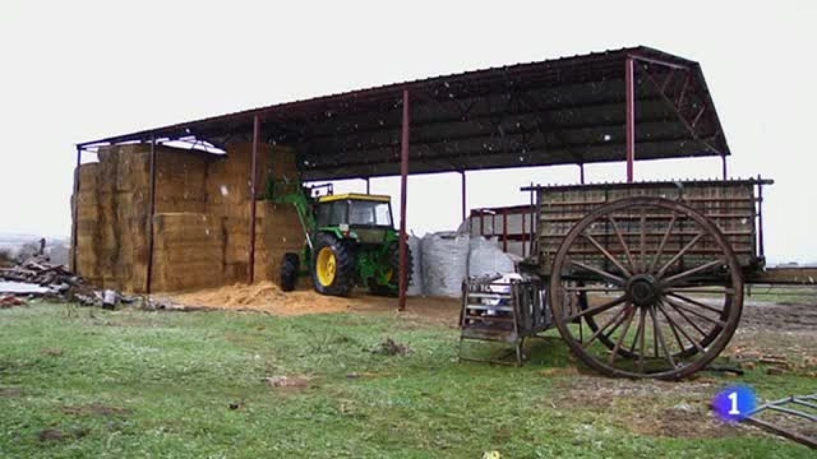El oráculo de las cabañuelas