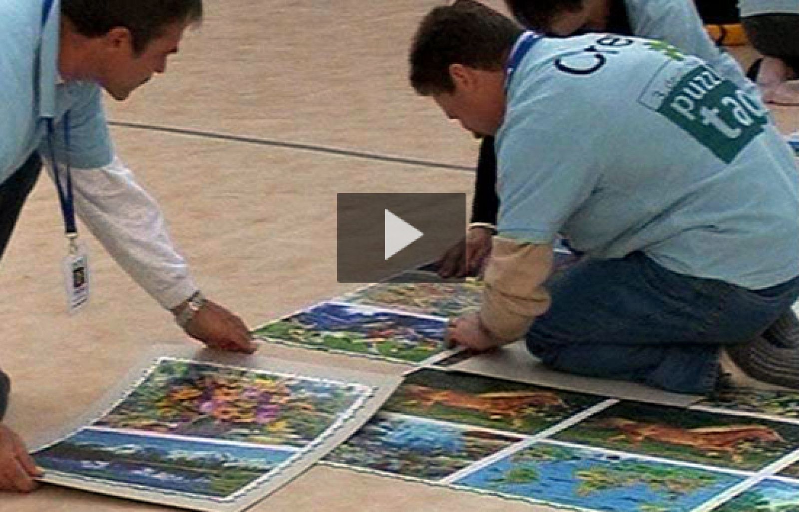 El puzzle más grande del mundo