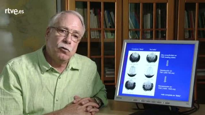 Crónicas - Camilo Cela