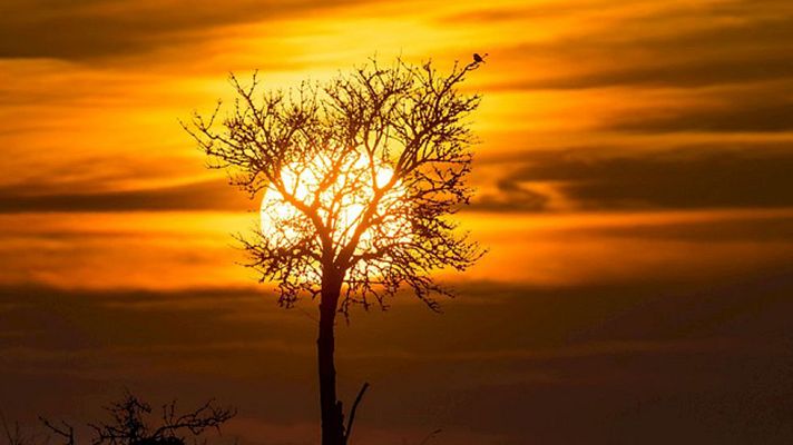 Informativo de Madrid - El Tiempo en la Comunidad de Madrid - 24/02/15