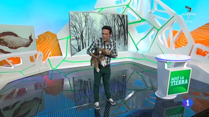 Aquí la Tierra - Vuestras mascotas en 'Aquí la Tierra'