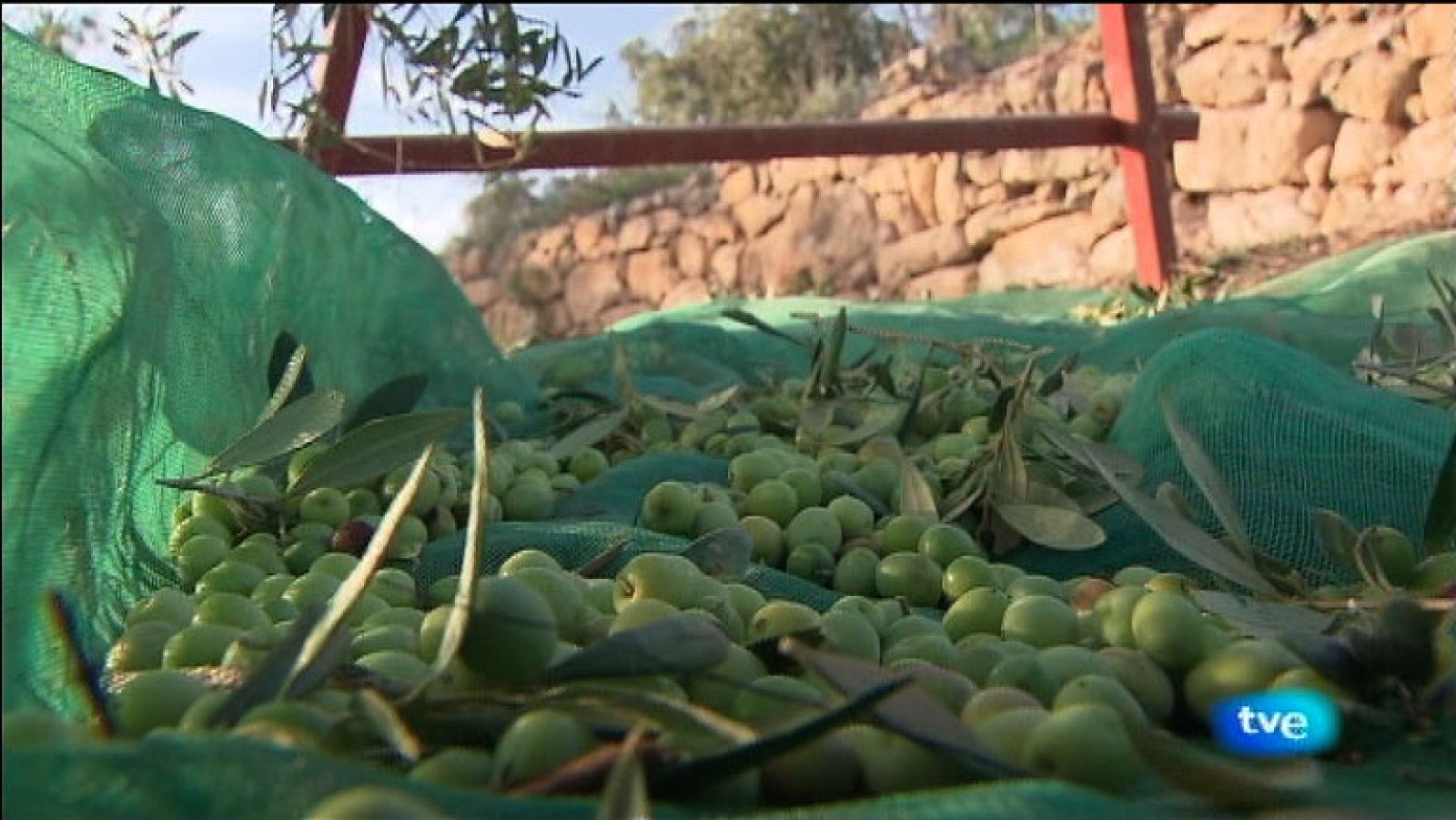 La Aventura del Saber. Asociación Trenca