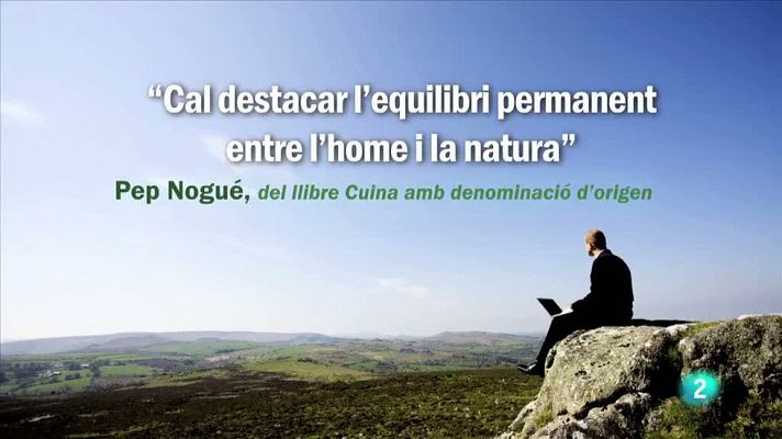 Tinc una idea - Pep Nogué