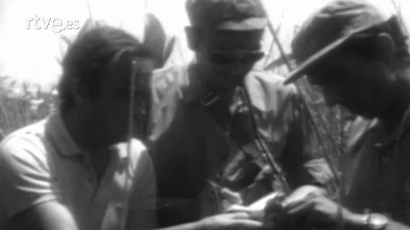 Vida salvaje - La Albufera de Valencia