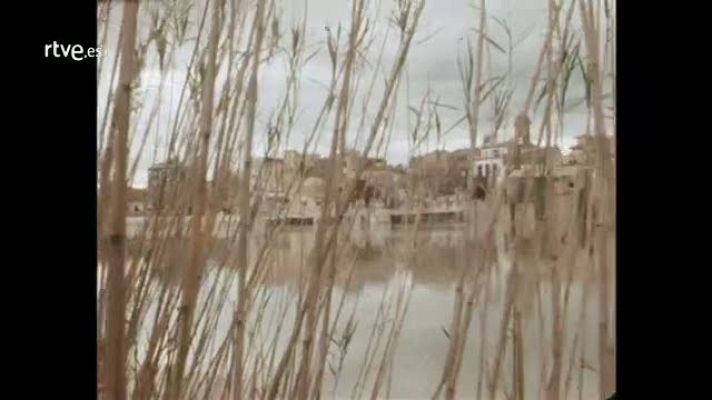 Les nostres coses - El Delta de l'Ebre
