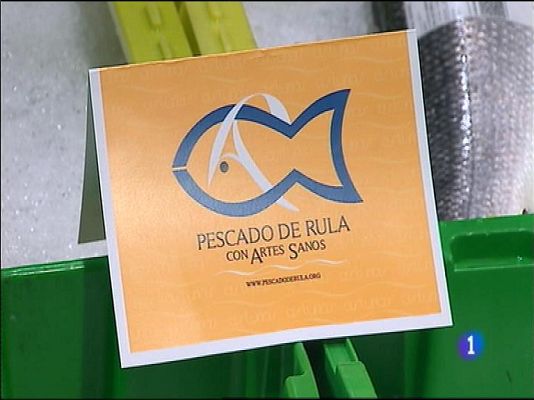 Panorama Regional - Panorama Regional 2 - 25/02/15