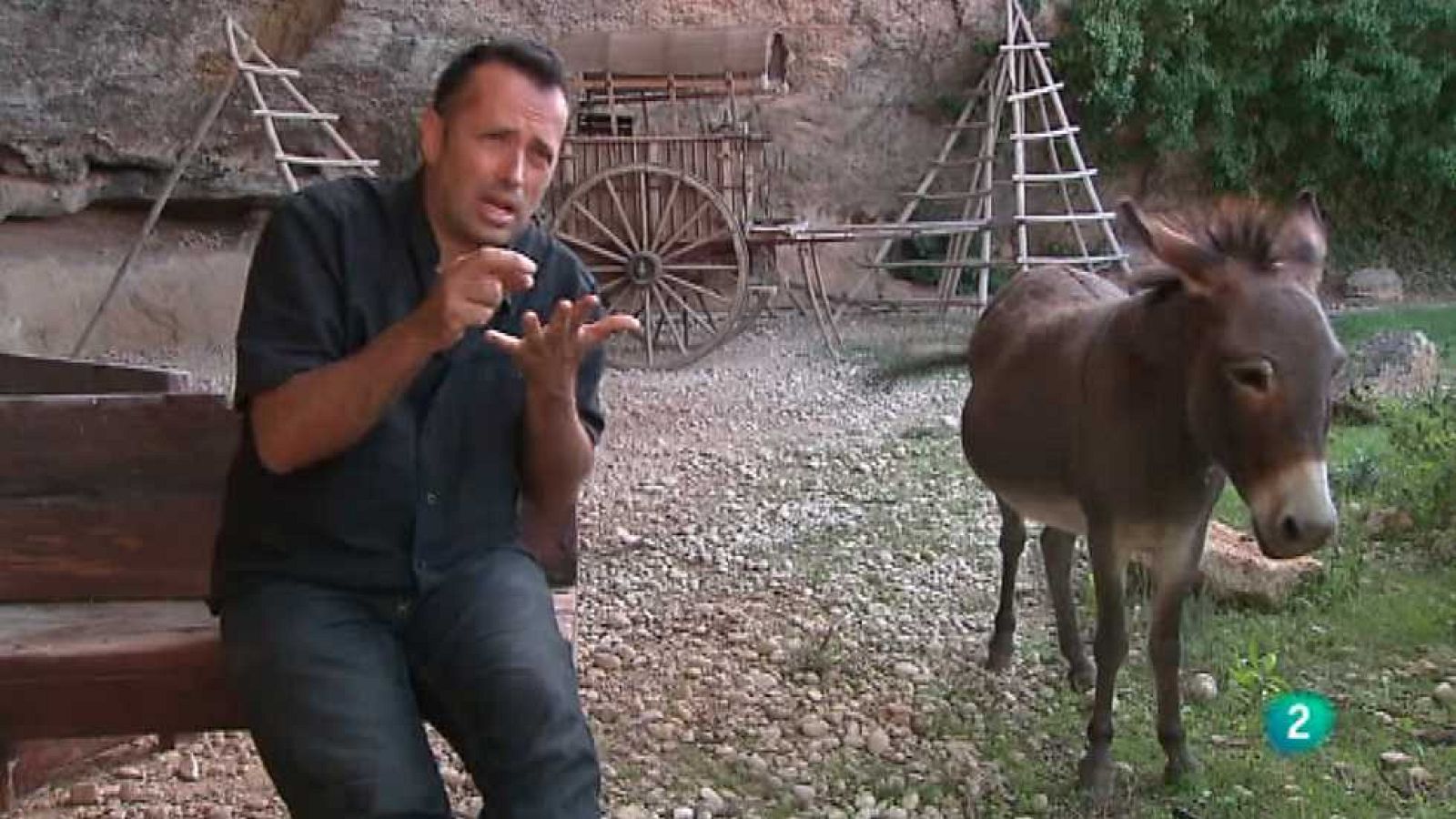 La aventura del saber - 26/02/15 - Ver ahora