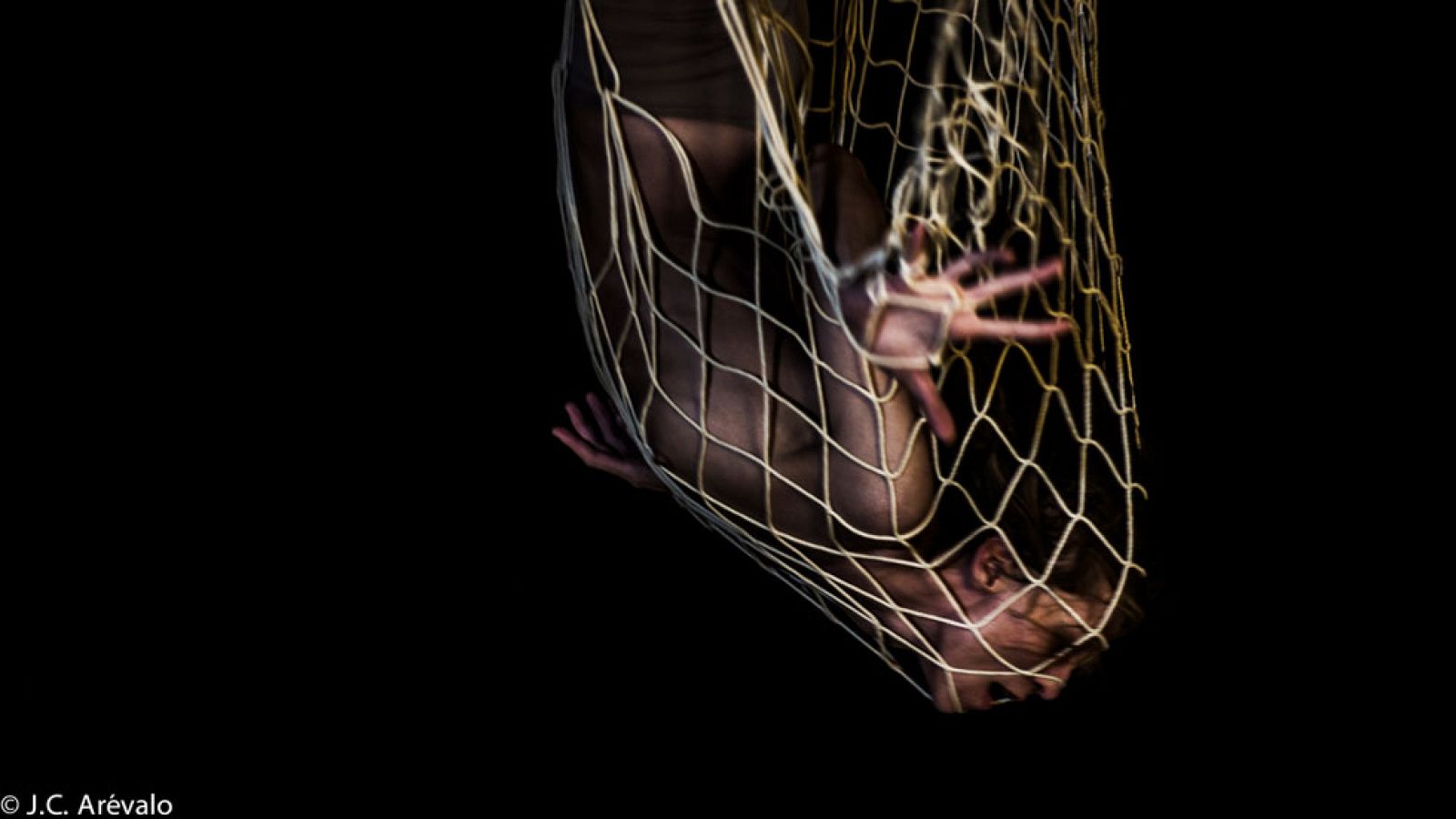 'Staying Alive: The Sacrifice of Giants'