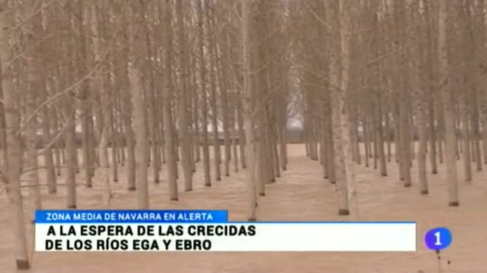 Telenavarra - 26/02/2015