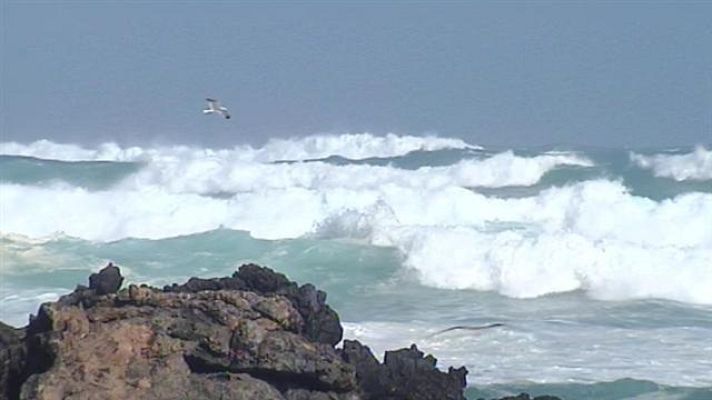 Telecanarias - Telecanarias - 26/02/15