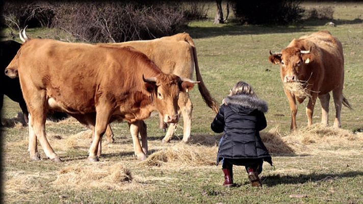 Aquí la Tierra - Un paseo por el Tiétar