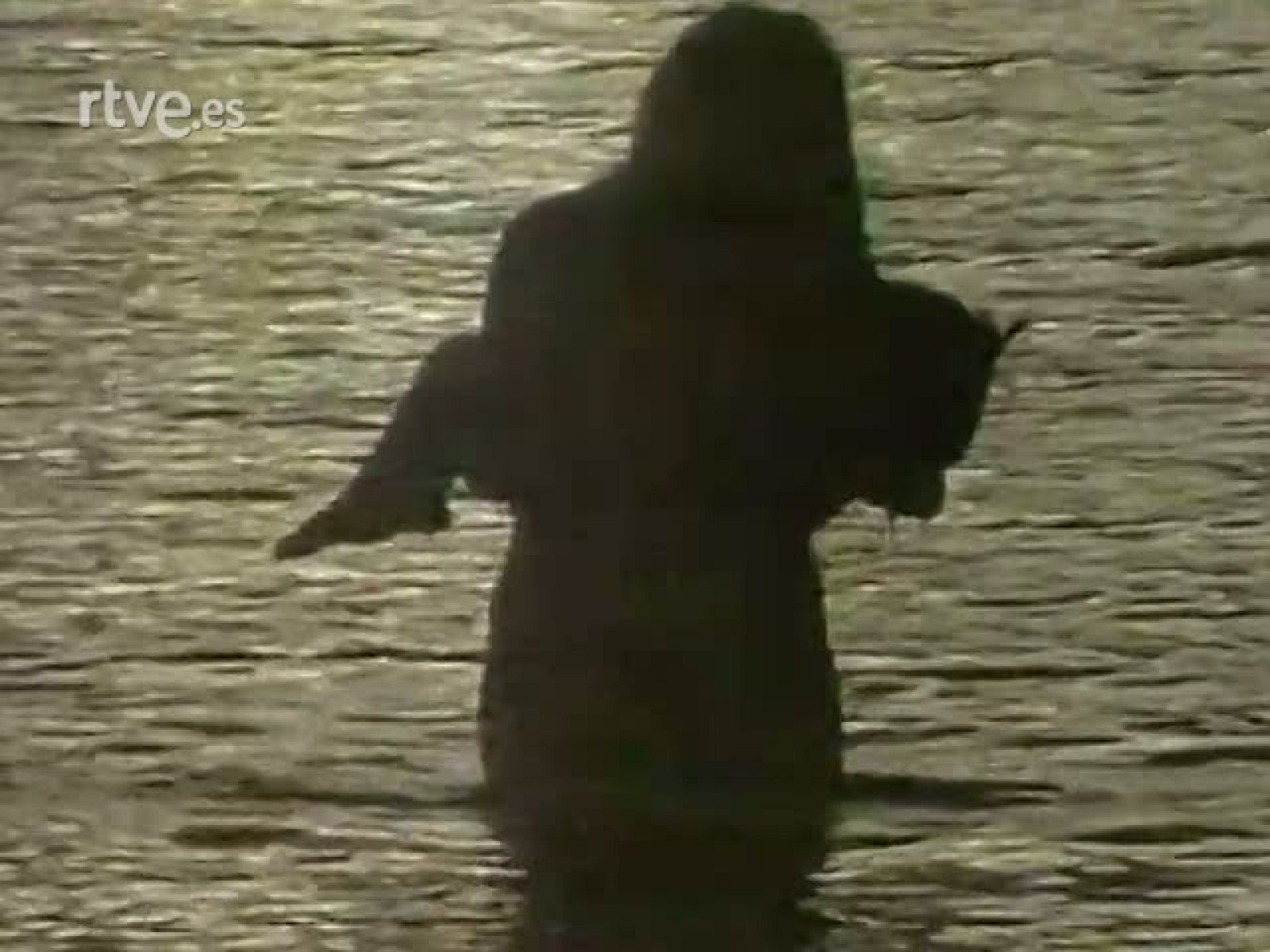 Miedo al Vacío- Cuestión de fe