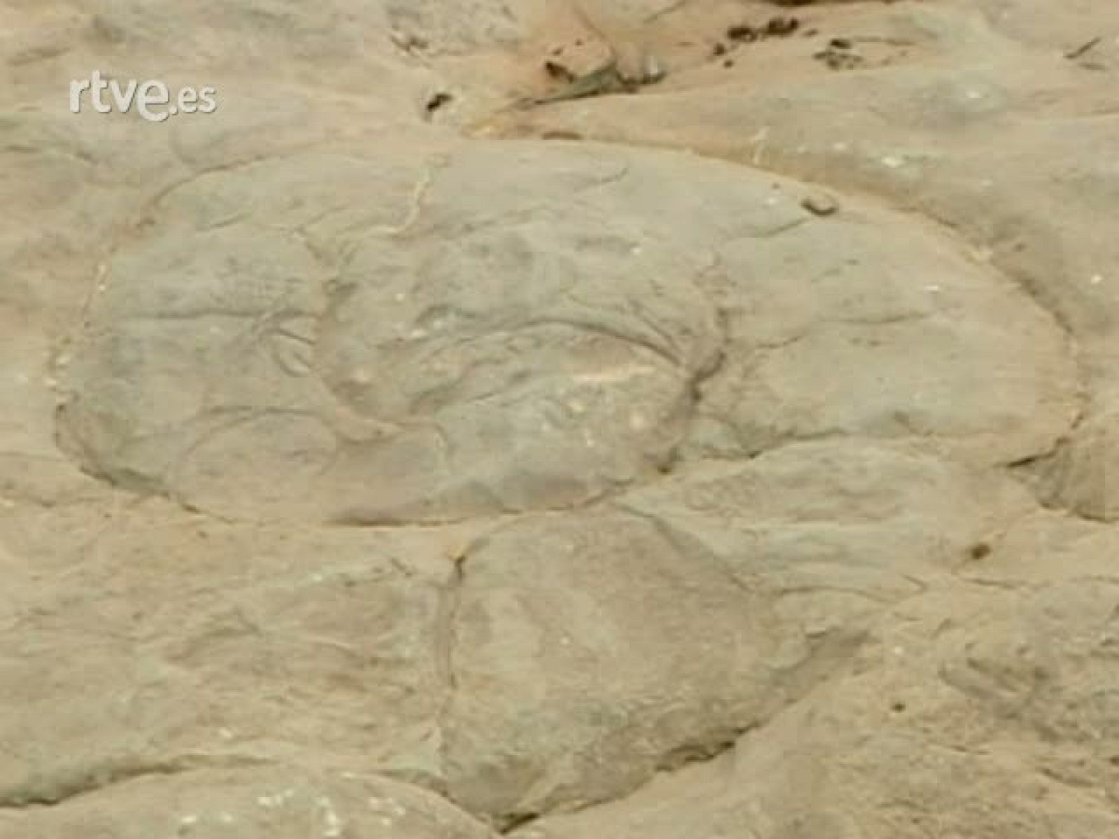 La Aventura del Saber- Geoparques- Las Subbéticas