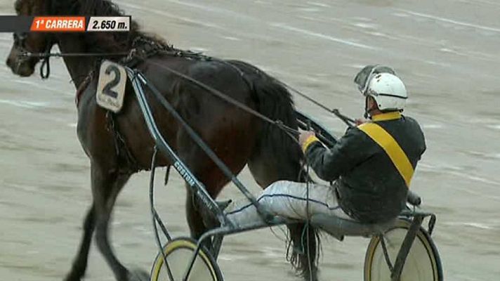 Turf - Turf - 27/02/15