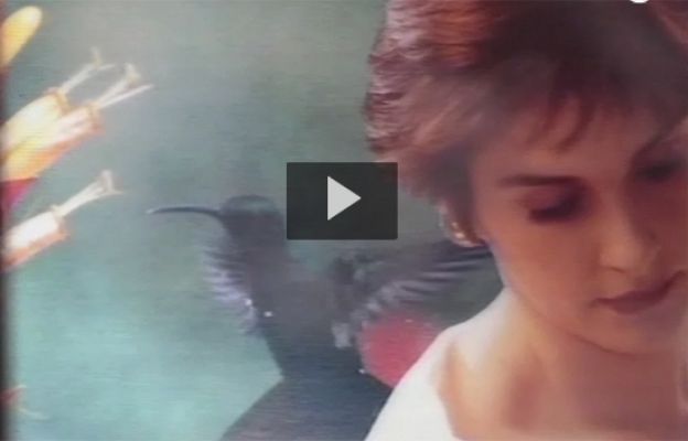  - 20 años del 'Orinoco flow' de Enya