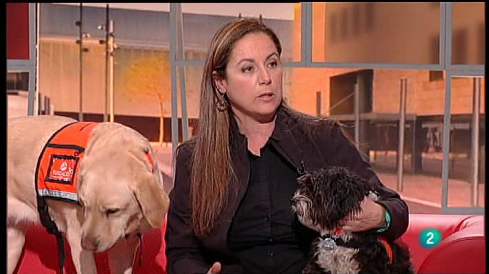 Para todos La 2 - Maribel Vila, terapia con animales