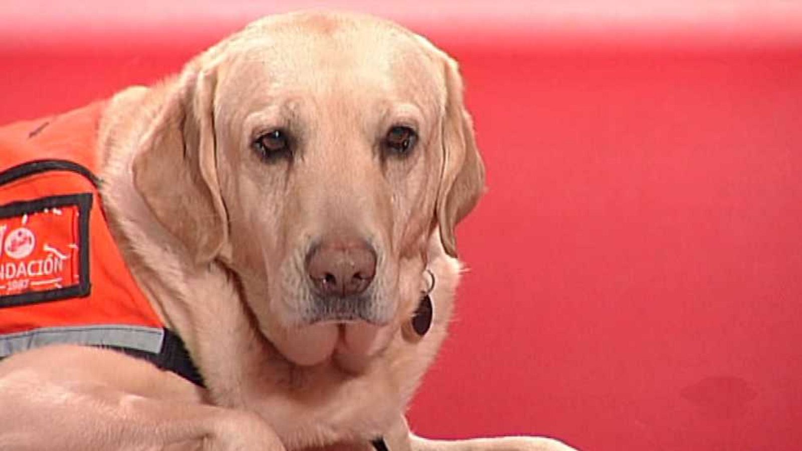 Para todos La 2 - 03/03/15 - Ver ahora