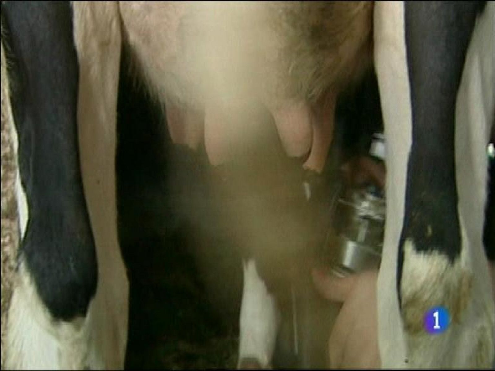 Panorama Regional - 04/03/15