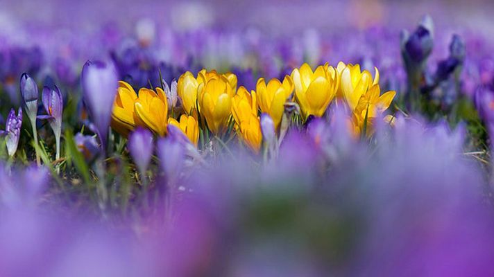 El tiempo - Vientos fuertes en el Estrecho, Baleares y Pirineos