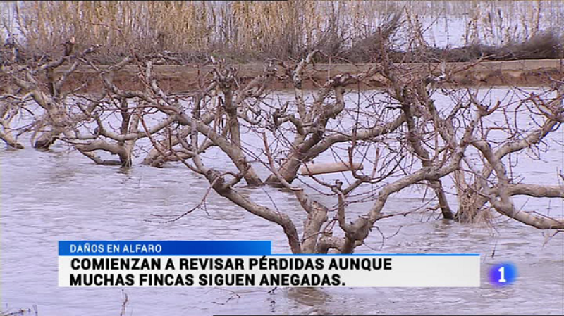 Informativo Telerioja 2 - 04/03/15