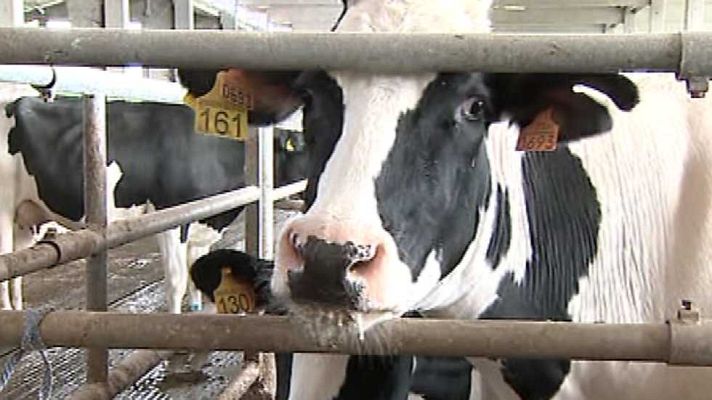 España en 24h - España en 24 horas - 04/03/15