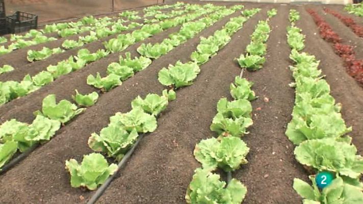 La aventura del Saber - La aventura del saber - 05/03/15