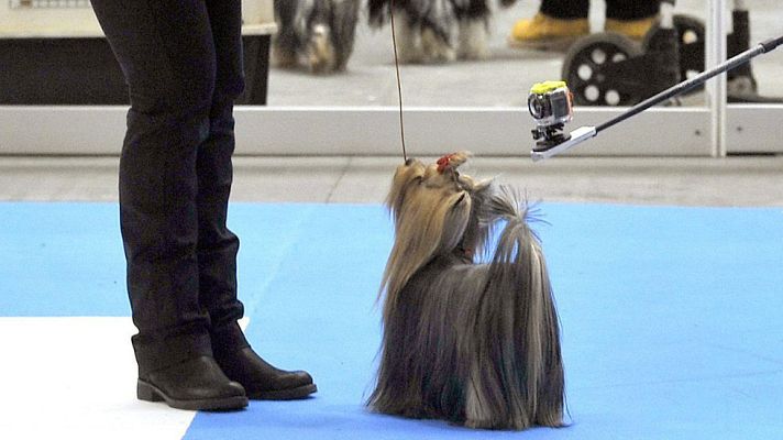 Informativo de Madrid - Informativo de Madrid 2 - 05/03/15