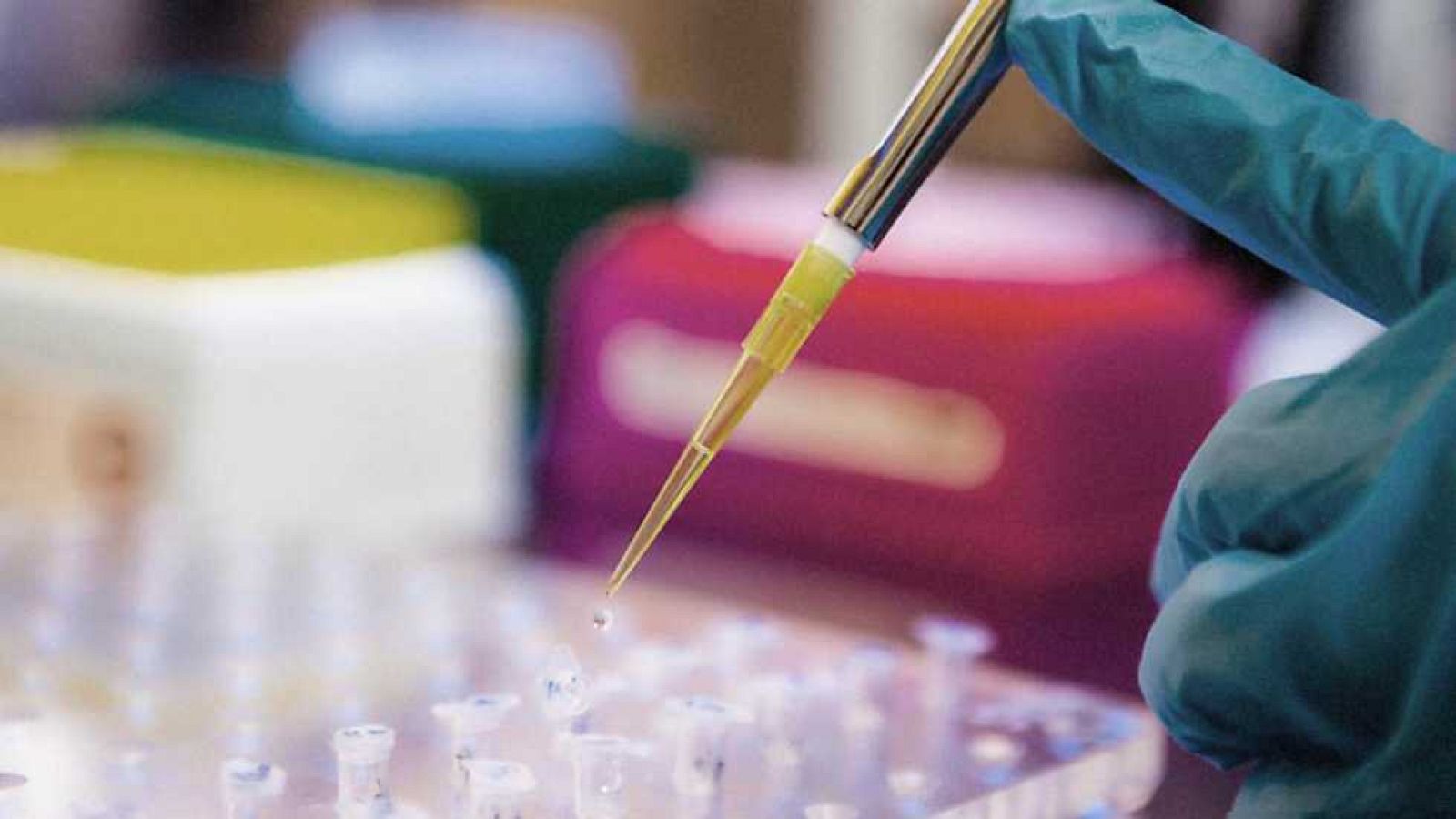 Docufilia - Técnicas forenses pioneras: Cómo demostrar un envenenamiento - Ver ahora