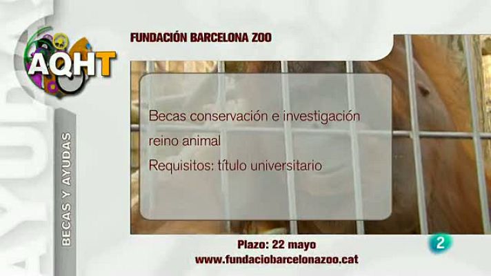 Aquí hay trabajo - 1.930 becas