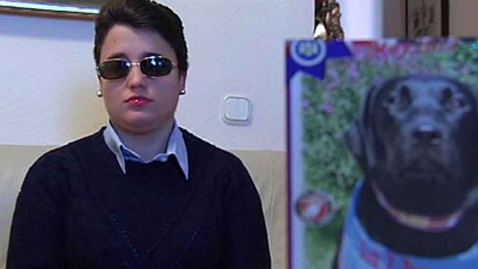 "Han envenenado a mi perro guía"