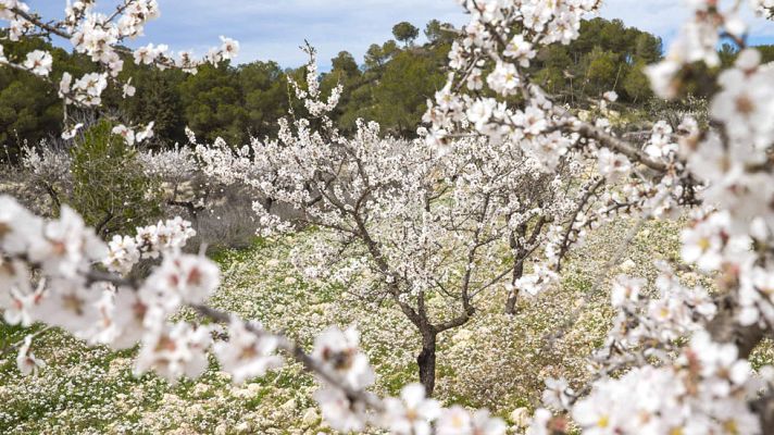 Informativo de Madrid - El Tiempo en la Comunidad de Madrid - 06/03/15