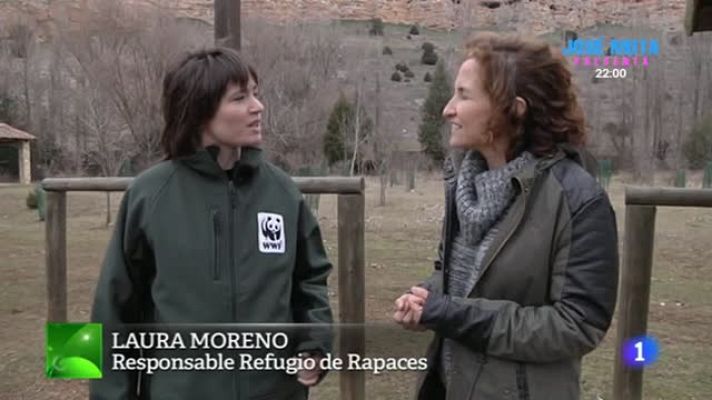 Aquí la Tierra - Rapaces, las "sanitarias" del campo