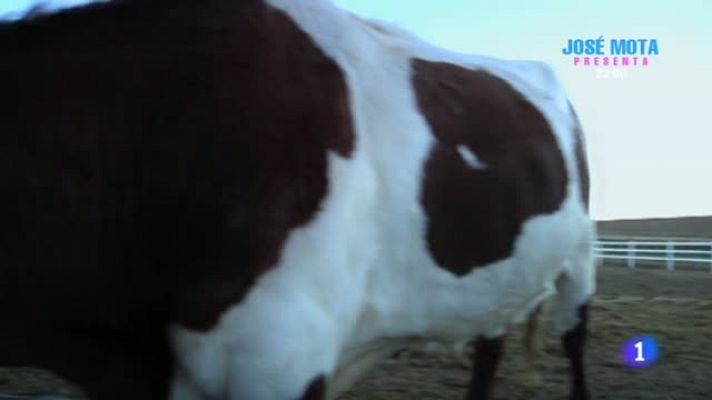 Aquí la Tierra - Un rancho de bueyes madrileño