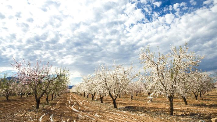 El tiempo - Cielos despejados en casi toda España y calima en las Canarias
