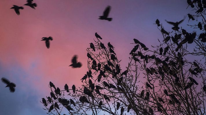 El tiempo - Cielos despejados y soleados en casi todo el país