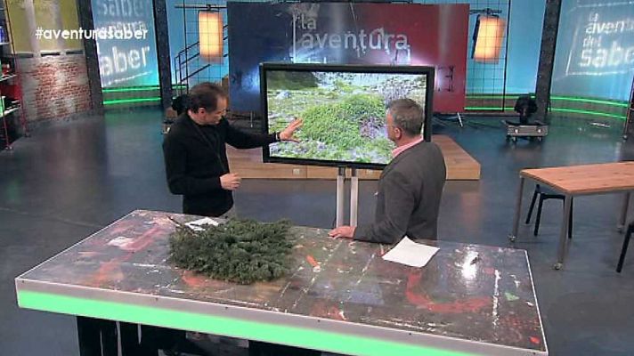 La aventura del Saber - La aventura del saber - 09/03/15