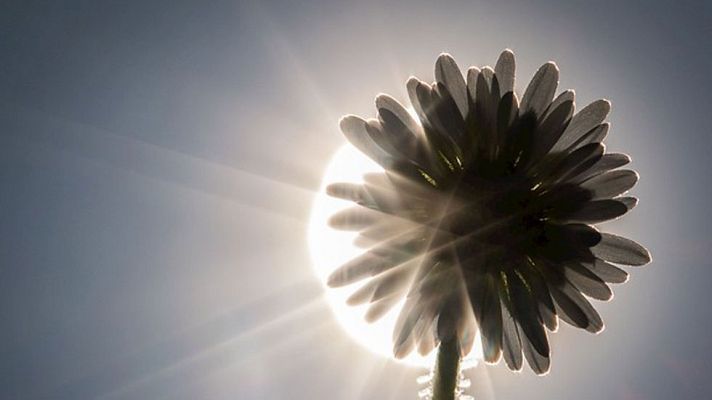 Informativo de Madrid - El Tiempo en la Comunidad de Madrid - 09/03/15