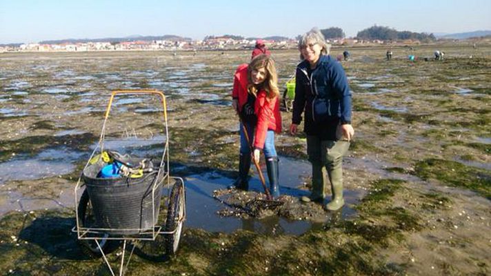 Aquí la Tierra - Mariscadoras, heroínas trabajadoras