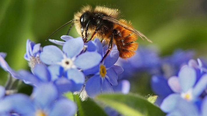 Informativo de Madrid - El Tiempo en la Comunidad de Madrid - 10/03/15