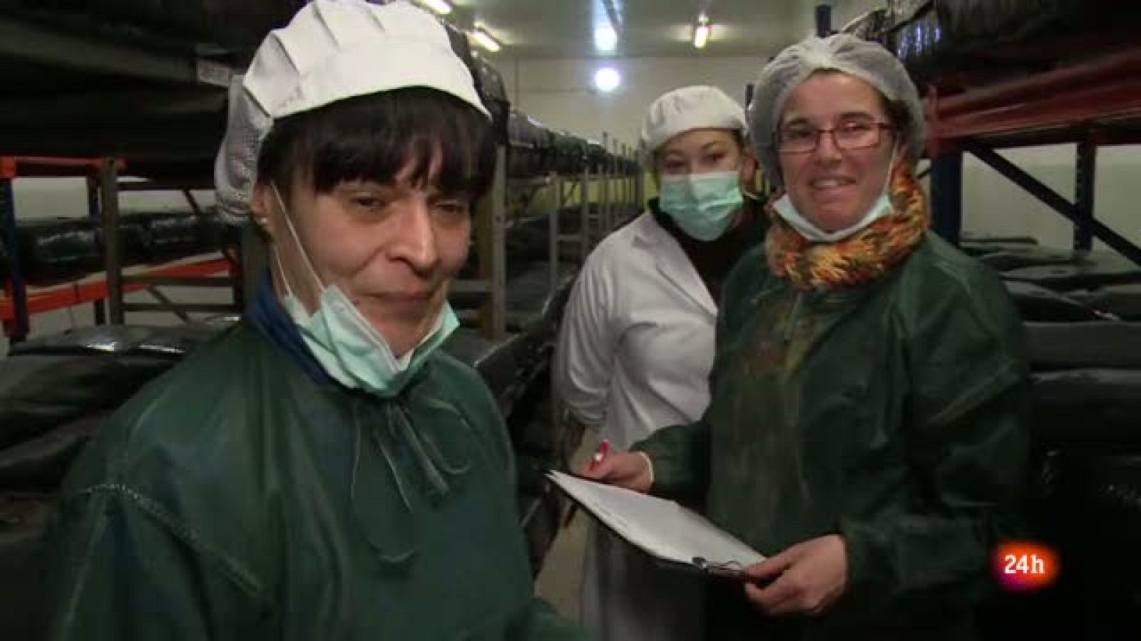 Repor - Templos modernos - trabajadoras