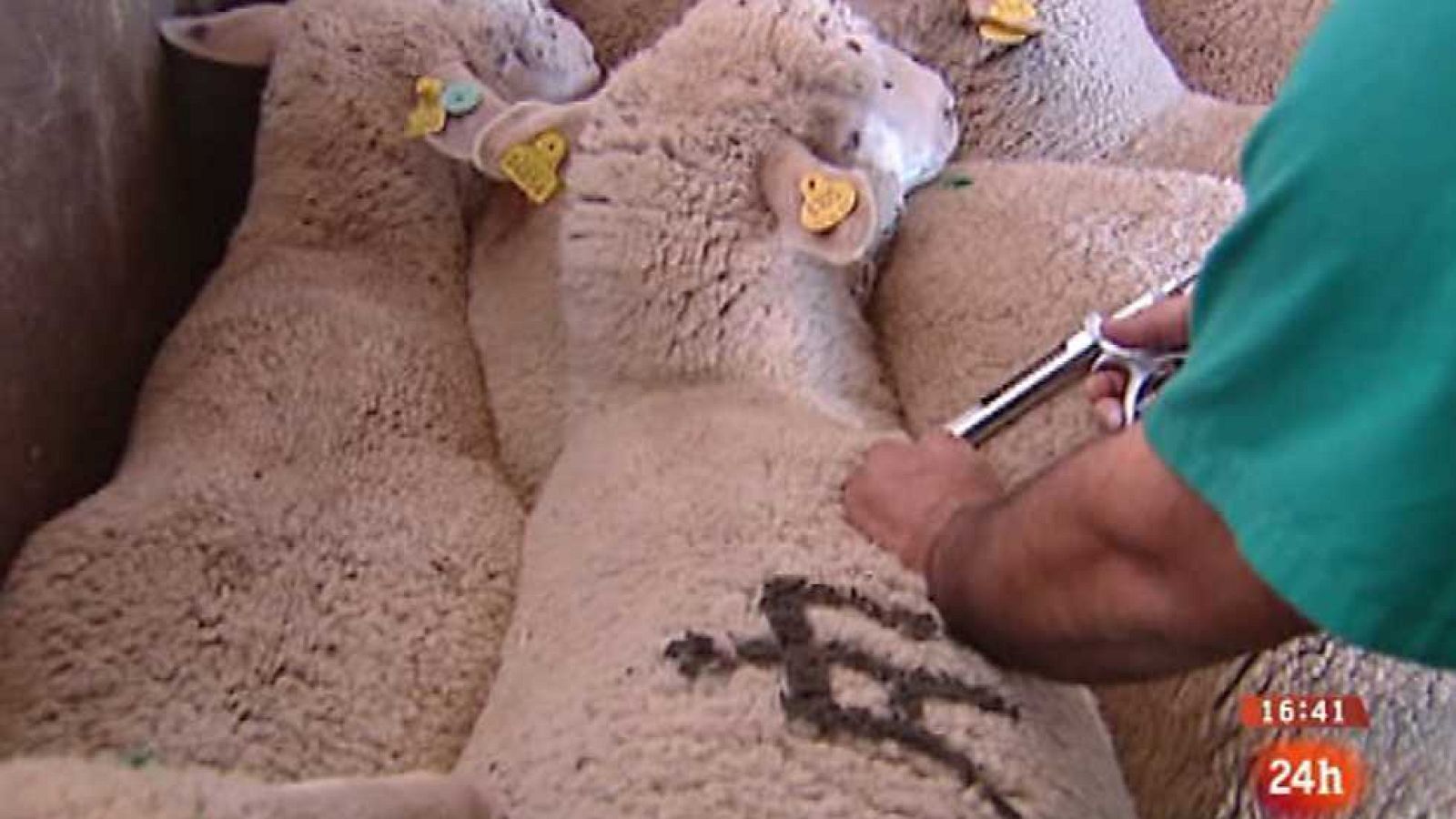 España en 24 horas - 10/03/15 - Ver ahora