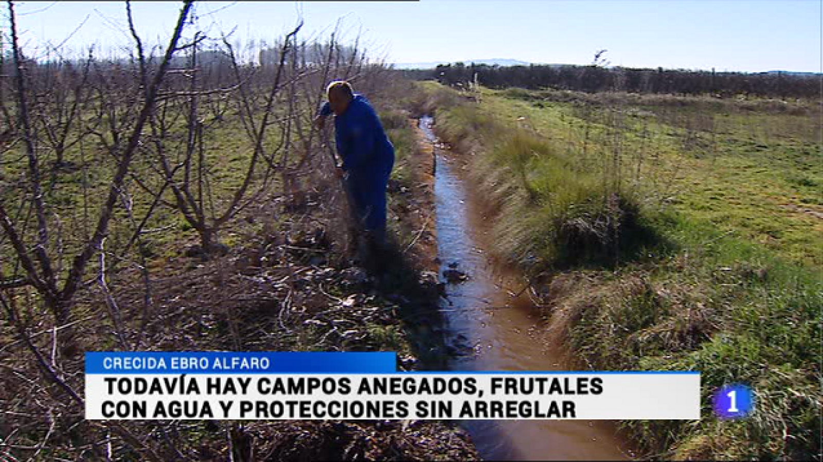 Informativo Telerioja - 11/03/15