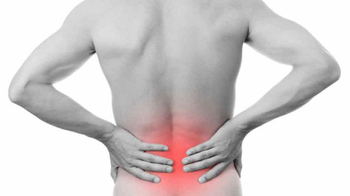 La mañana - Día del riñón