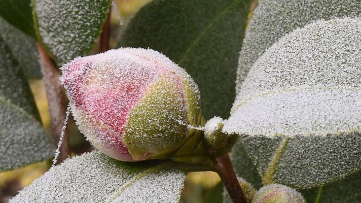 El tiempo - Bajan las temperaturas en el norte y el Levante