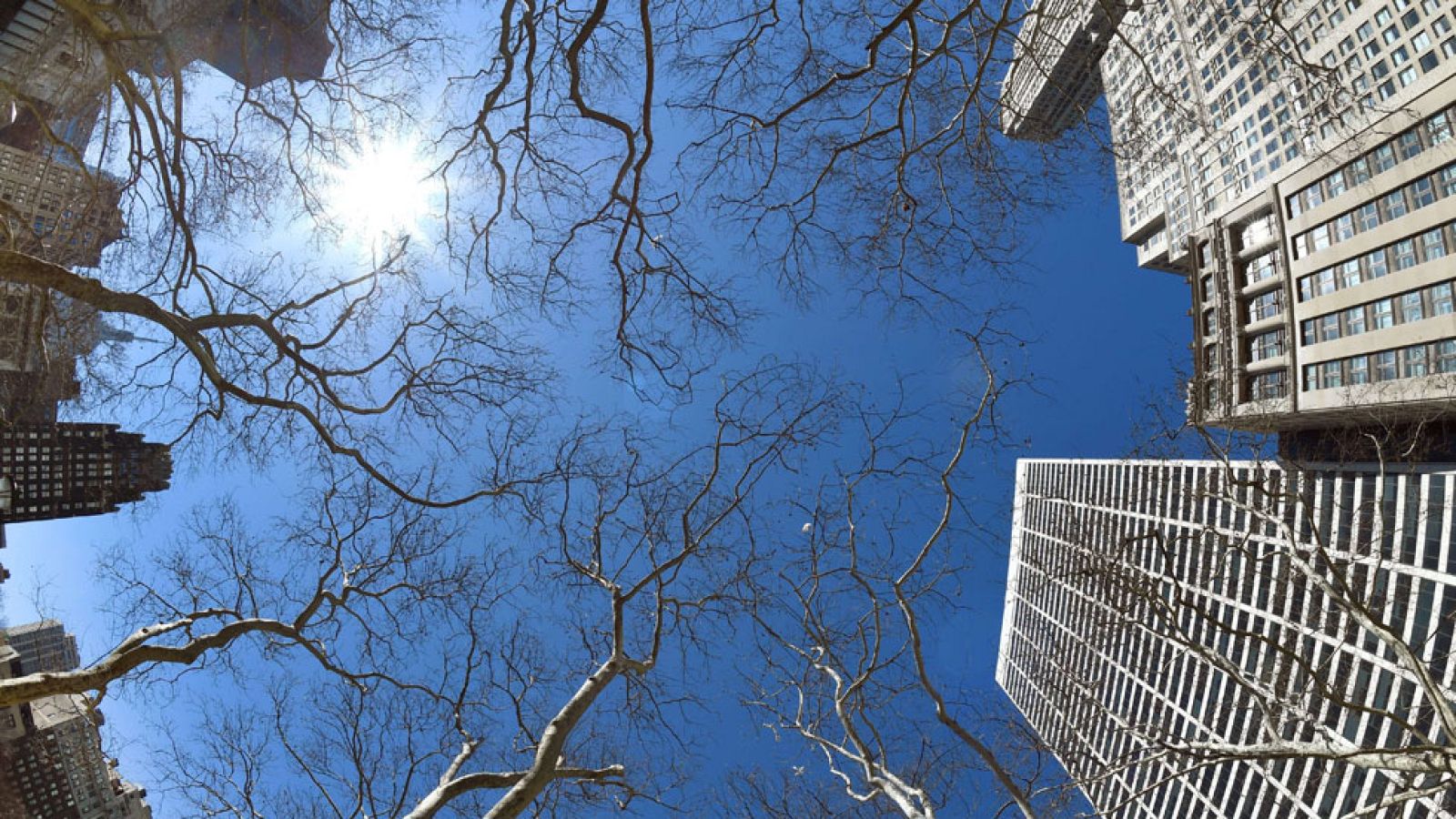 El Tiempo en la Comunidad de Madrid - 13/03/15